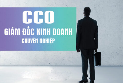 Khóa học CCO – Giám đốc kinh doanh chuyên nghiệp