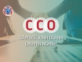 Khóa học Giám đốc kinh doanh chuyên nghiệp – CCO