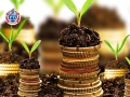 Khóa học Phân tích hiệu quả đầu tư vốn cho Doanh nghiệp